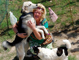 Didim'de köpek pansiyonu açıldı